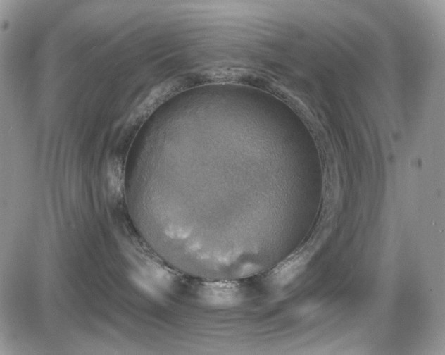X0000084540240200702231235