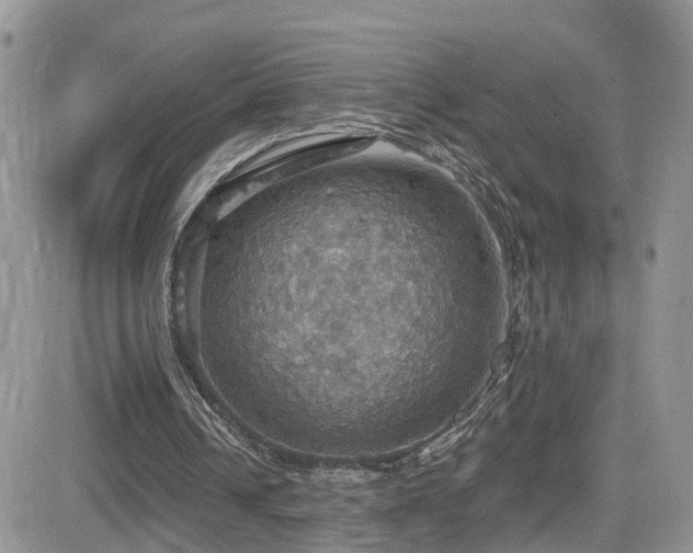 X0000084540242200702231234