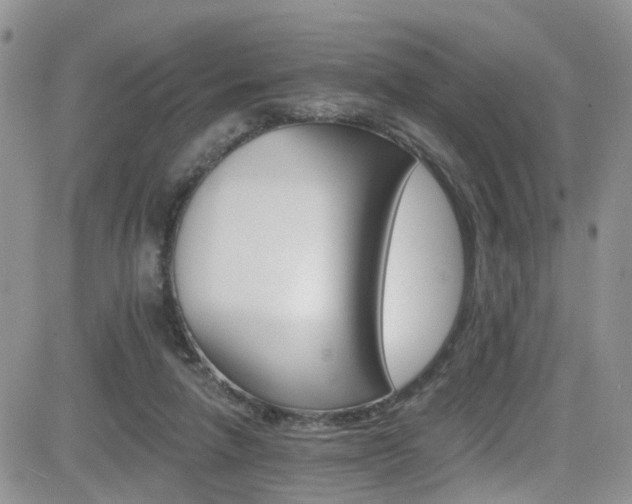 X0000084540258200702231235