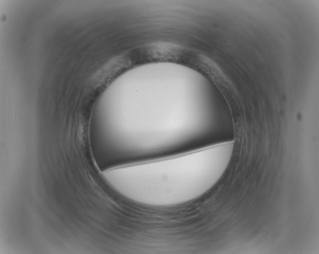 X0000084540266200702231235