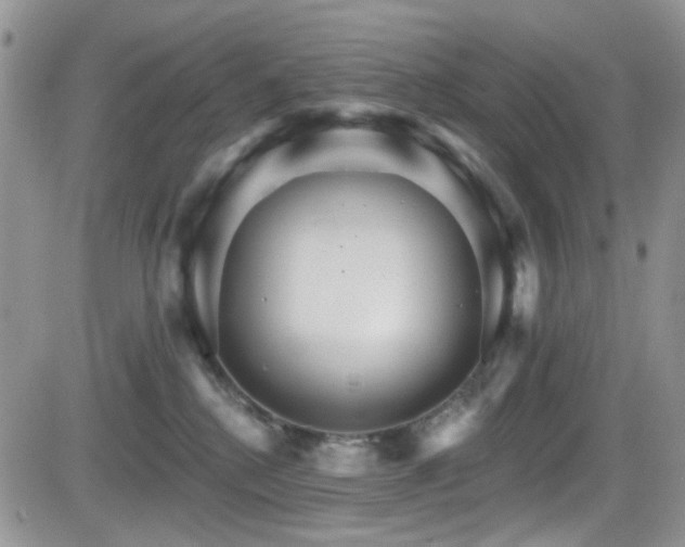 X0000084540280200702231235