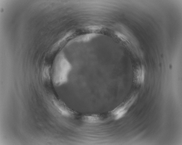 X0000084540286200702231235