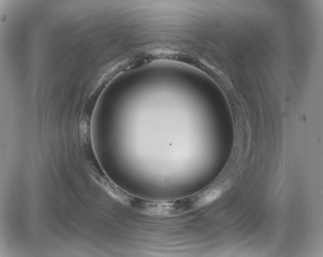 X0000084540288200702231235