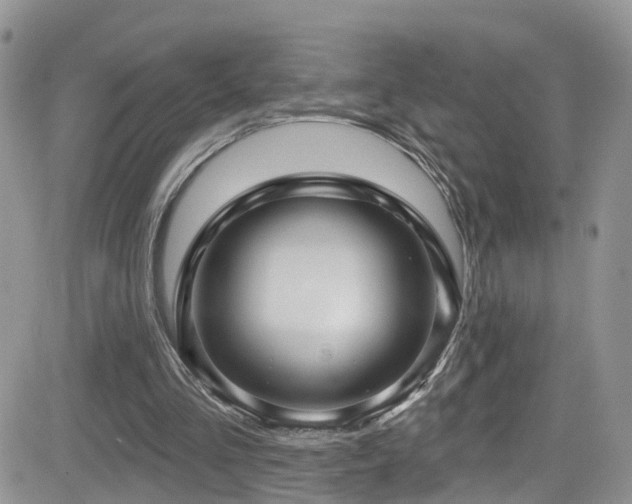 X0000084540293200702231234