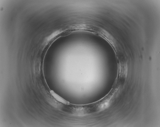 X0000084540301200702231234