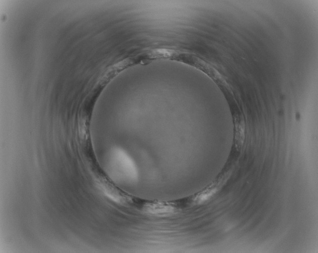 X0000084540331200702231234
