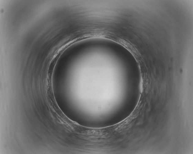 X0000084540338200702231233