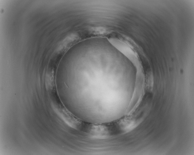 X0000084540376200702231233