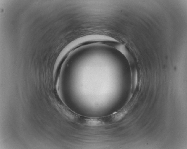X0000084540380200702231233