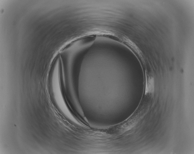 X0000084540387200702231233