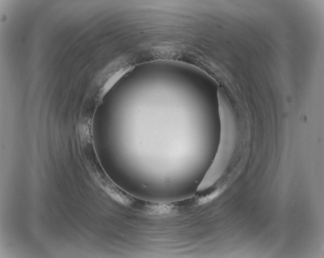 X0000084540432200702231232