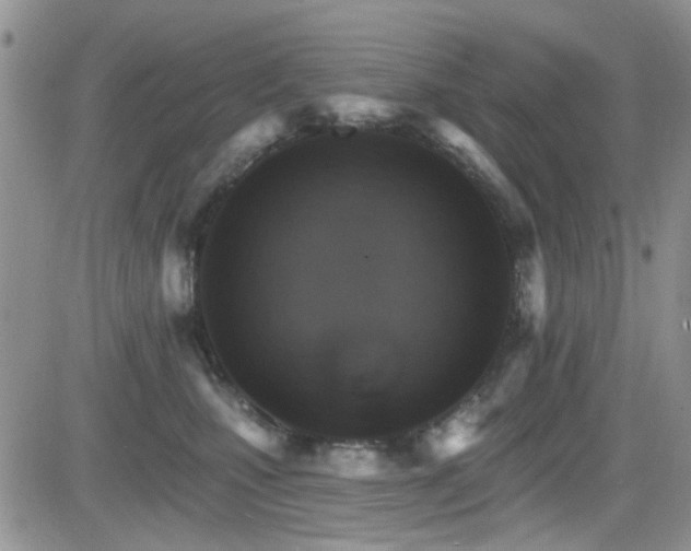 X0000084540471200702231232