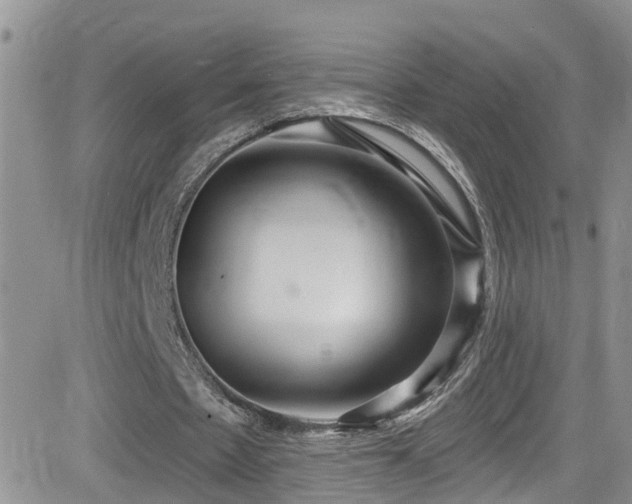 X0000084540481200702231231