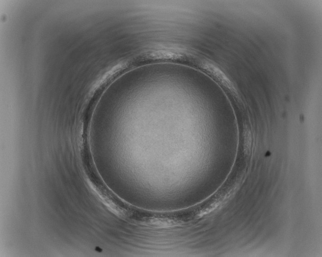 X0000084540490200702231231
