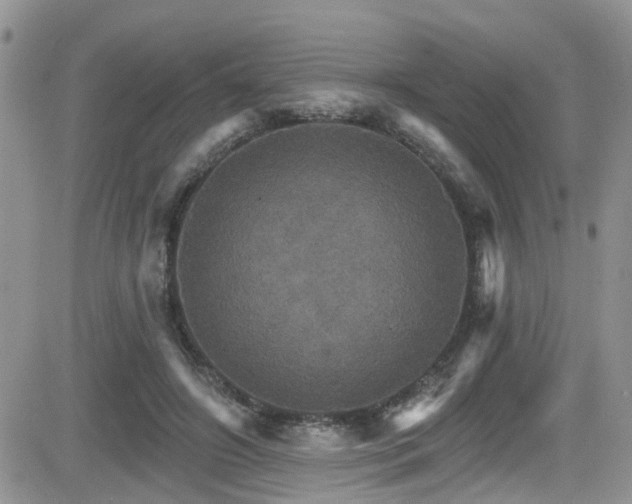 X0000084540498200702231231
