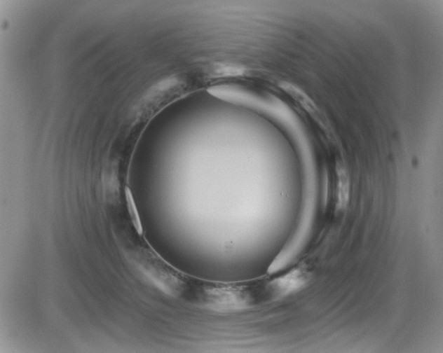 X0000084540516200702231230