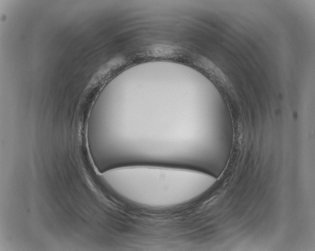 X0000084540542200702231229