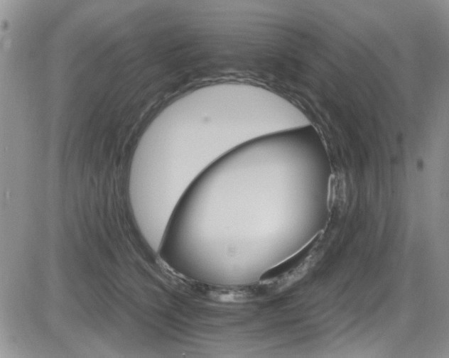 X0000084540564200702231230