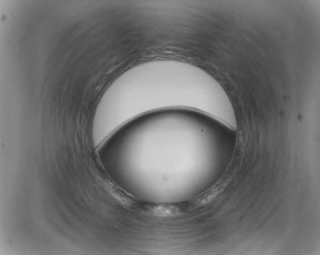 X0000084540566200702231230