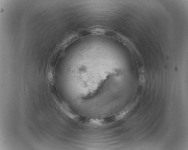 X0000084540573200702231230