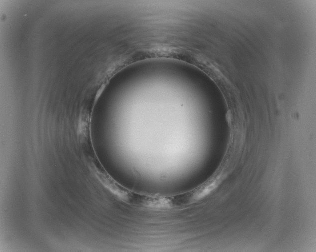 X0000084540576200702231230