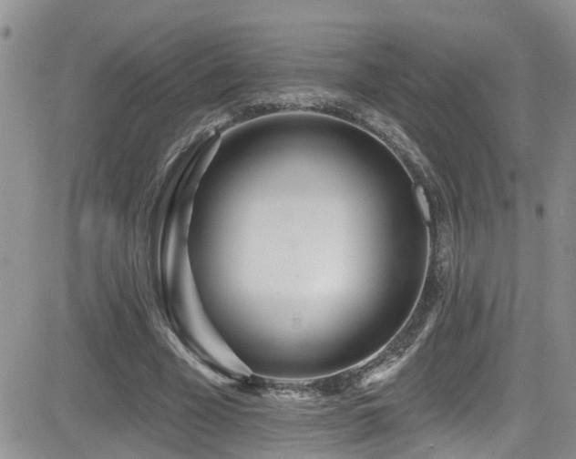 X0000084540585200702231229