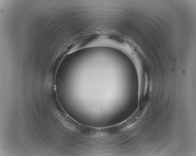 X0000084540593200702231229