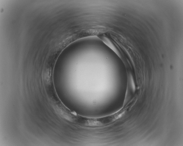 X0000084540605200702231229