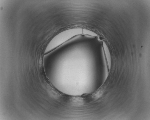 X0000084540617200702231229