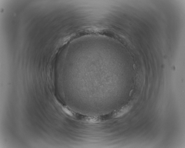 X0000084540624200702231228