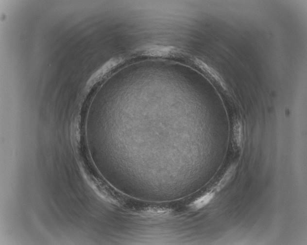 X0000084540682200702231227