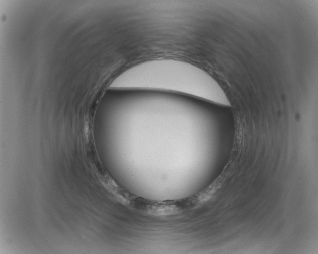 X0000084540716200702231227