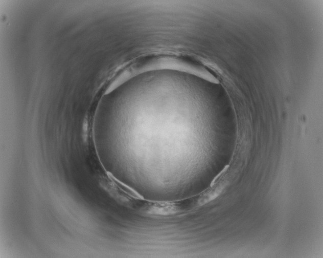X0000084540720200702231227