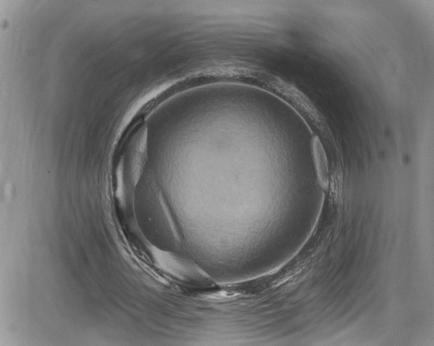 X0000084540724200702231226