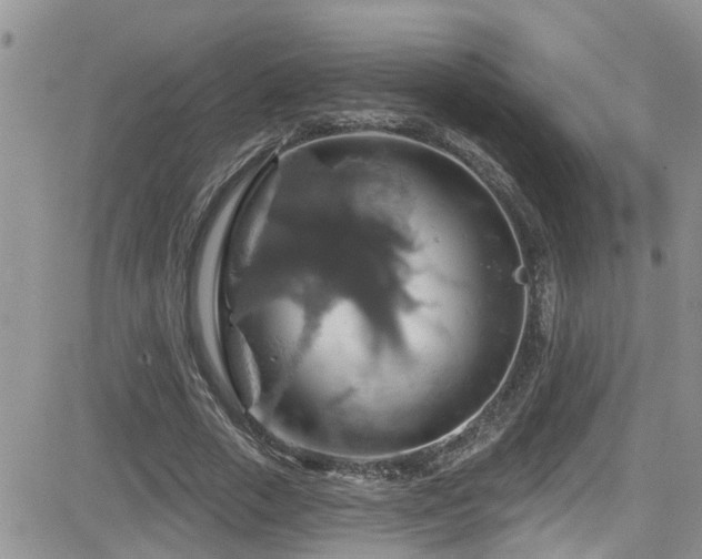 X0000084540729200702231226