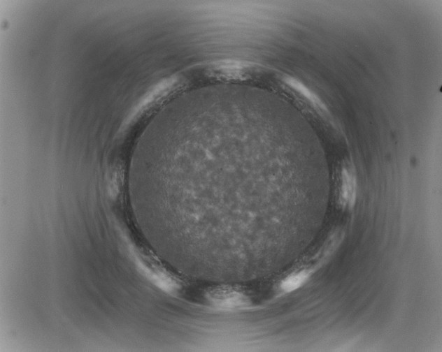 X0000084540747200702231226