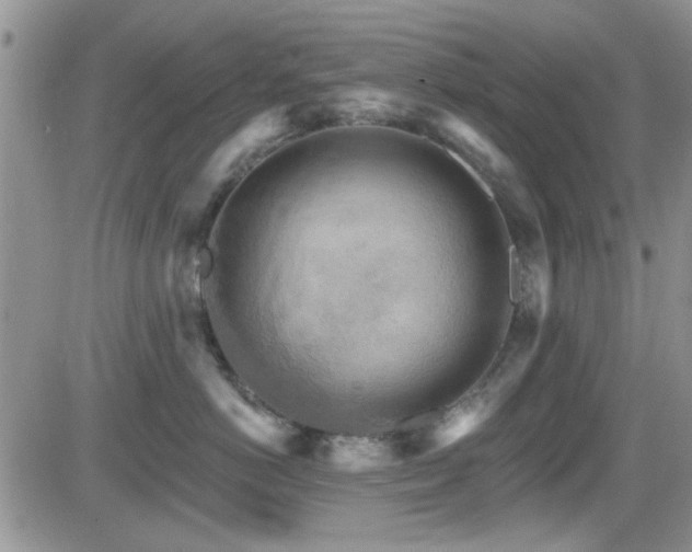 X0000084540766200702231227