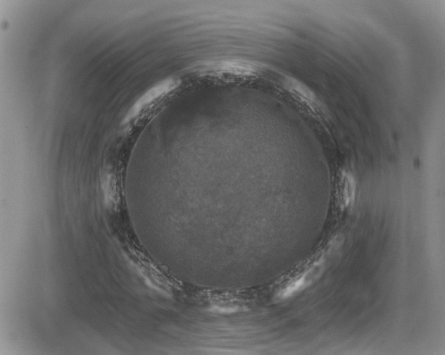 X0000084540774200702231226