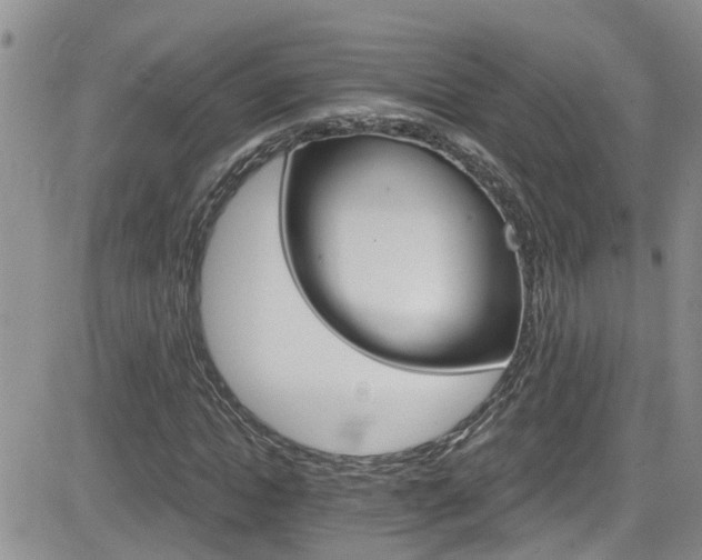 X0000084540822200702231225