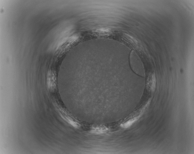 X0000084540866200702231224