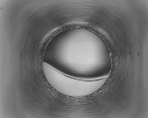 X0000084540872200702231224