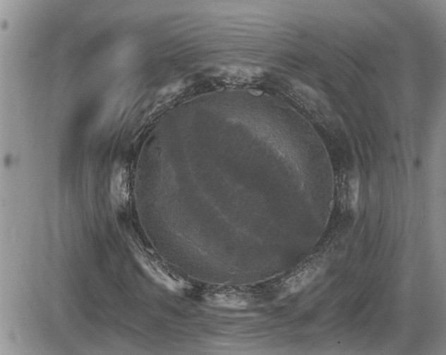 X0000084540962200702231223