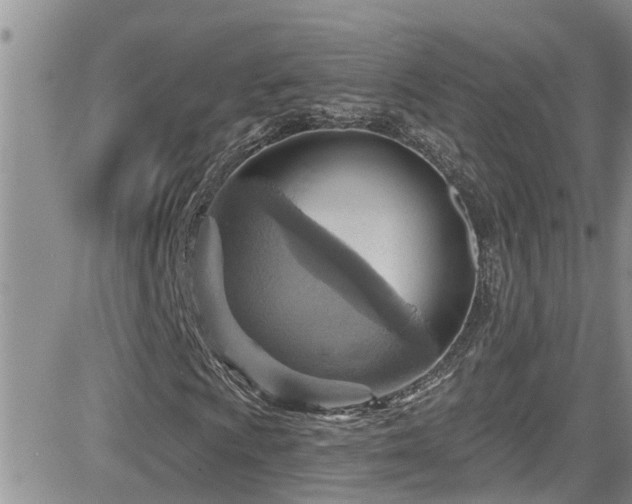 X0000084541009200702231221