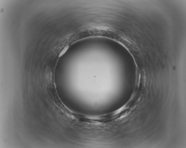 X0000084541061200702231221