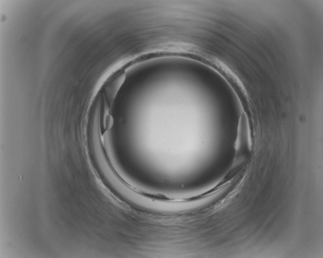 X0000084541085200702231221