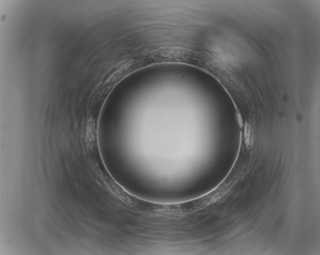 X0000084541107200702231220