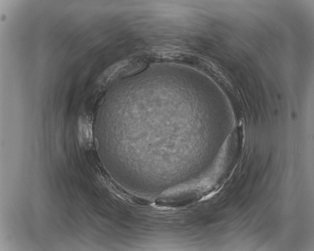 X0000084541155200702231220