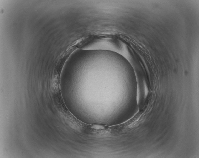 X0000084541156200702231219