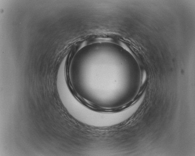X0000084541157200702231219