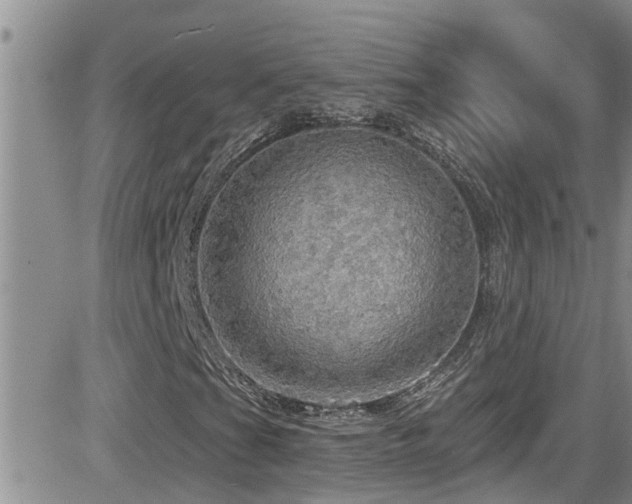 X0000084541201200702231218